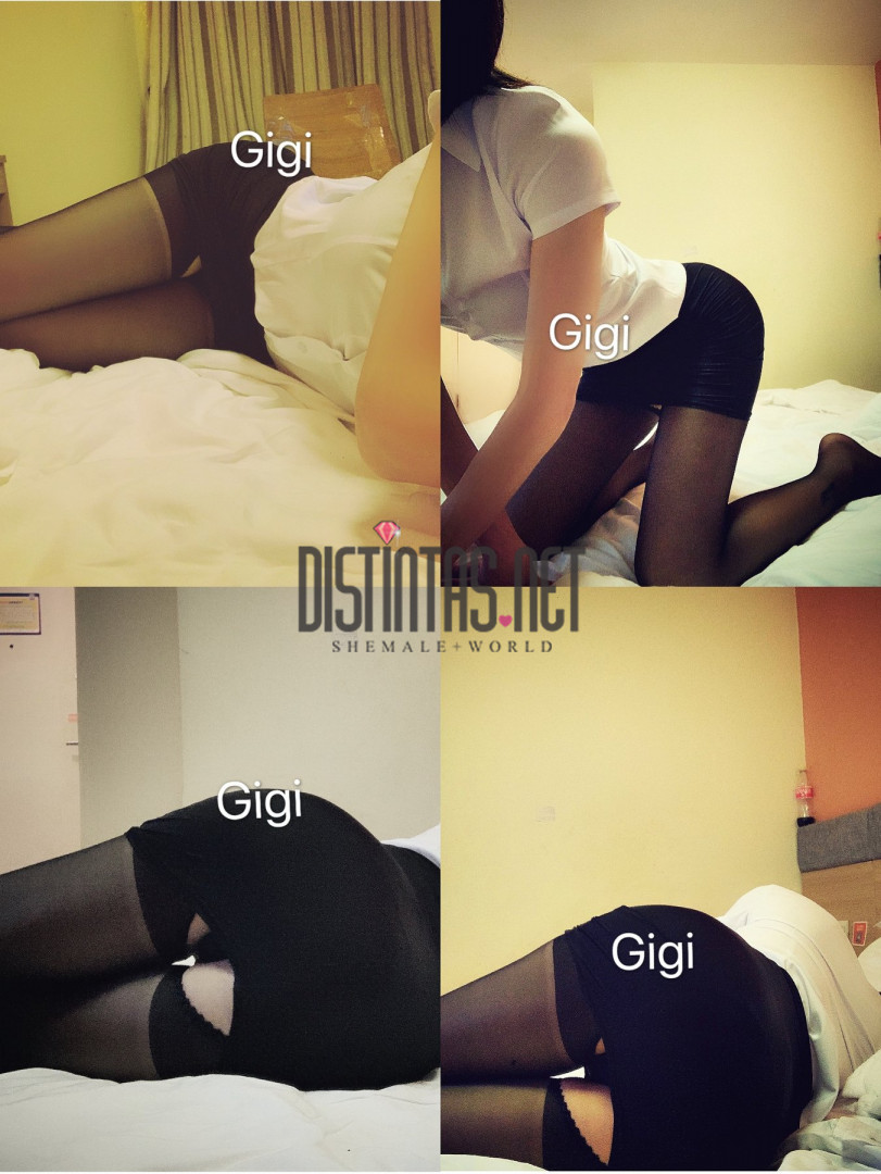 Gigi Transexual