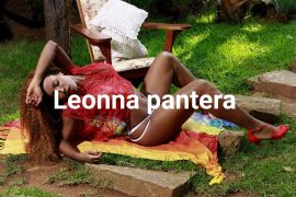 Leona Pantera