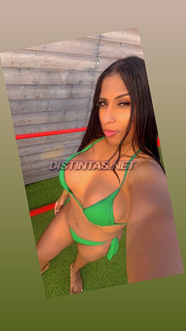 Shenelys Alesk