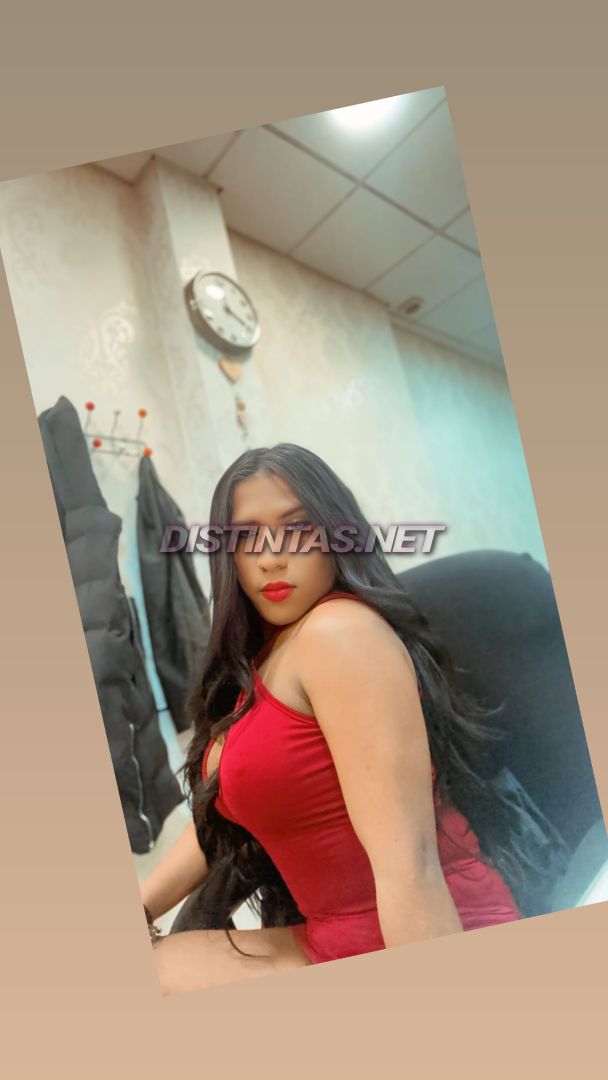 Shenelys Alesk