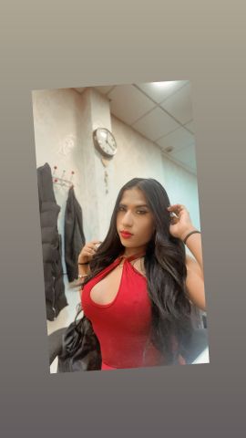 Shenelys Alesk