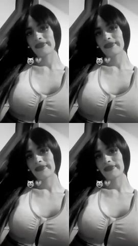 Brisa Pendex