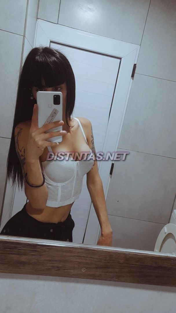 Brisa Pendex