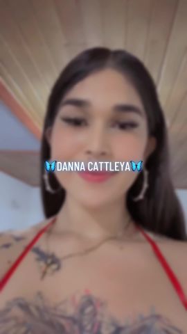 Cattleya Bohorquez