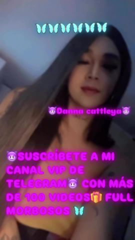 Cattleya Bohorquez
