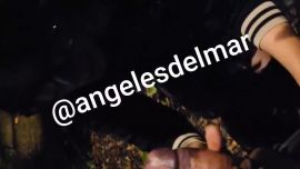 Angeles del Mar