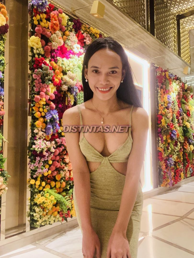Donna Elaj