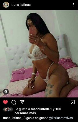 Karla Premium