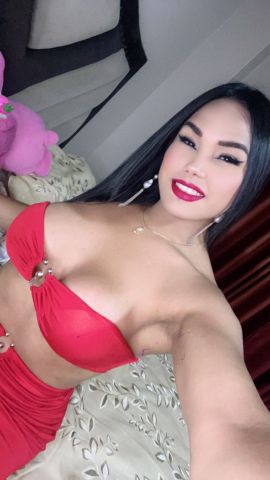 Cristel