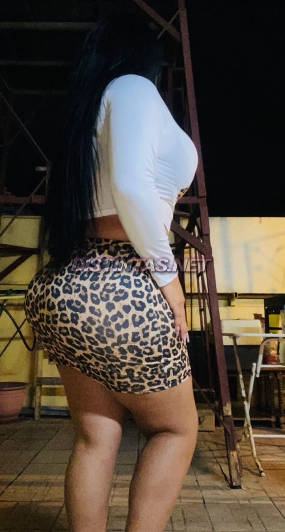 Stefanyamor