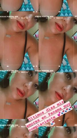 Stefanyamor