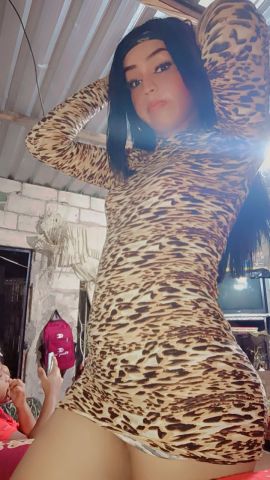 Daleyza Ferrin