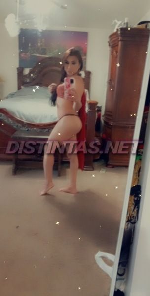 Sacramento Shemale Escorts