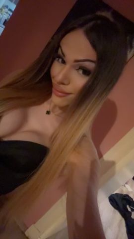 Ts mimi