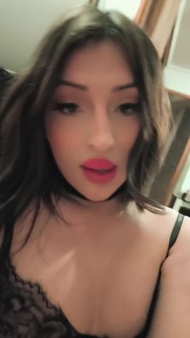 Gatairis