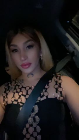 проститутки транс новосибирск