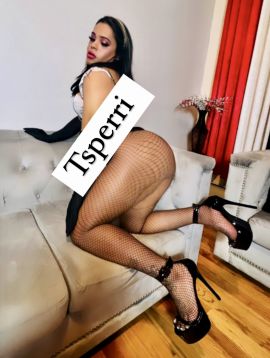 Perri Dominican