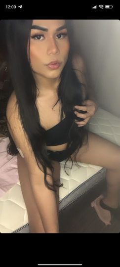 ASHLYM STCZ