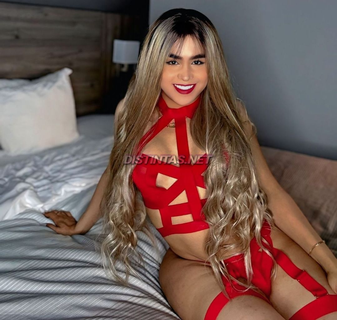 Sirelis labella