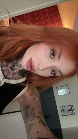 Vivi Bella