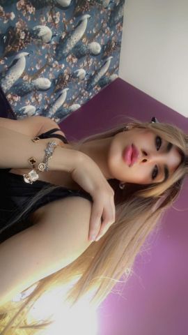 Trans Arabe