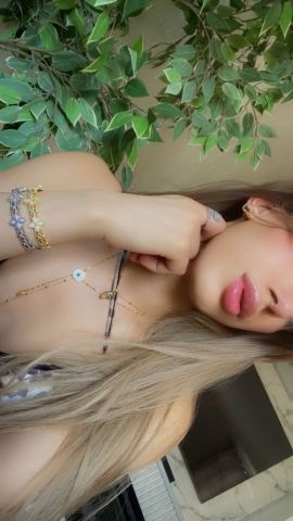 Trans Arabe