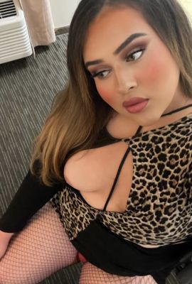 KIMBELLA LATINA