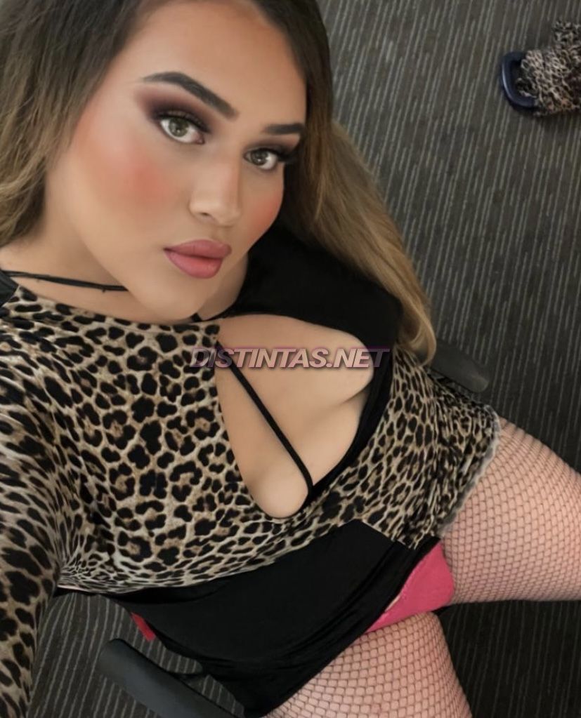 KIMBELLA LATINA
