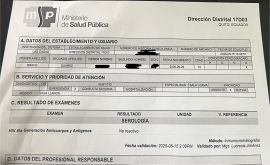 Jazmín 