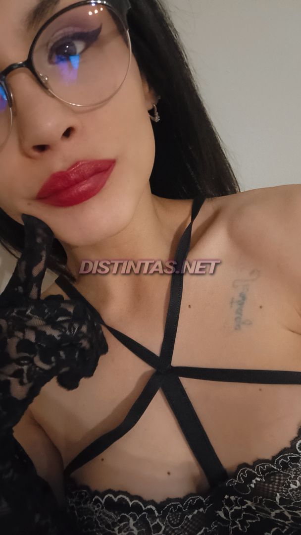 Bella trans 