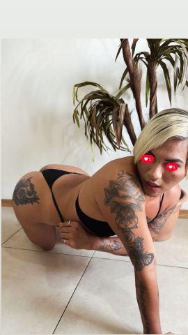 Violeta Q