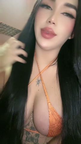 Karla gatita 