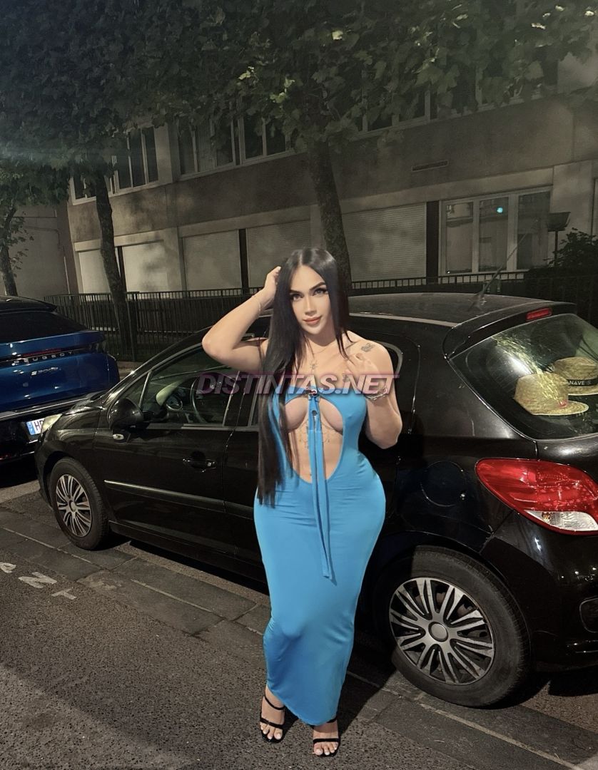 Karla gatita 