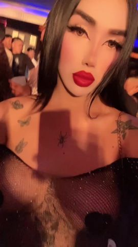 Karla gatita 
