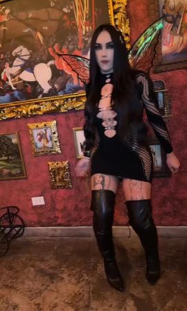 Karla gatita 