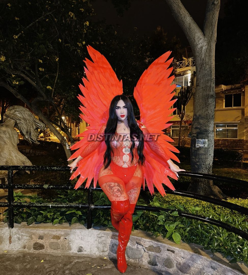 Karla gatita 