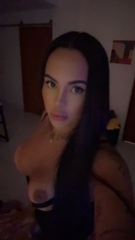 Nic Vinhedos