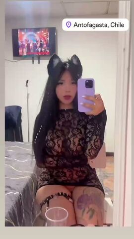 Catty Cat