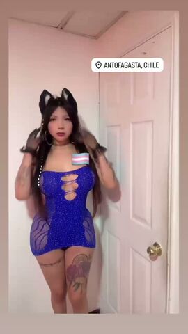 Catty Cat