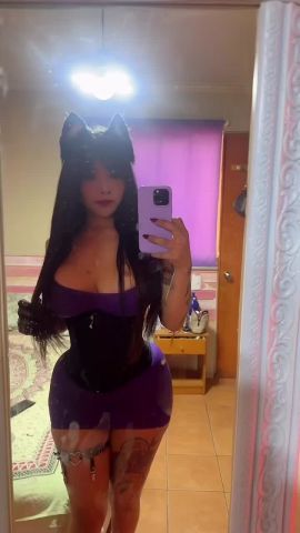 Catty Cat
