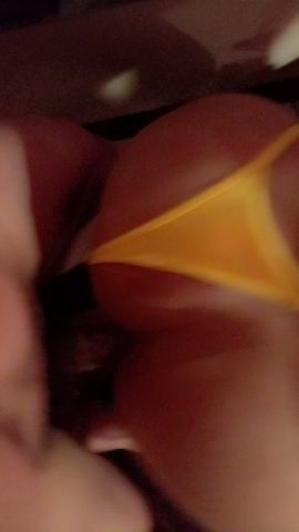 Anarela Fox