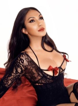  Lana Trans