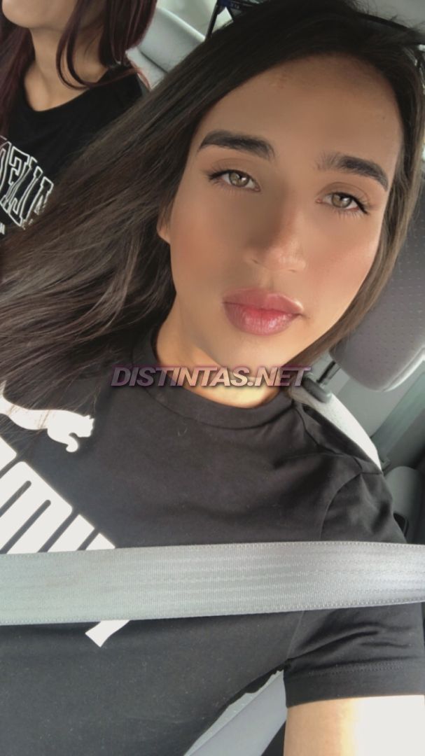 Beba Sugar
