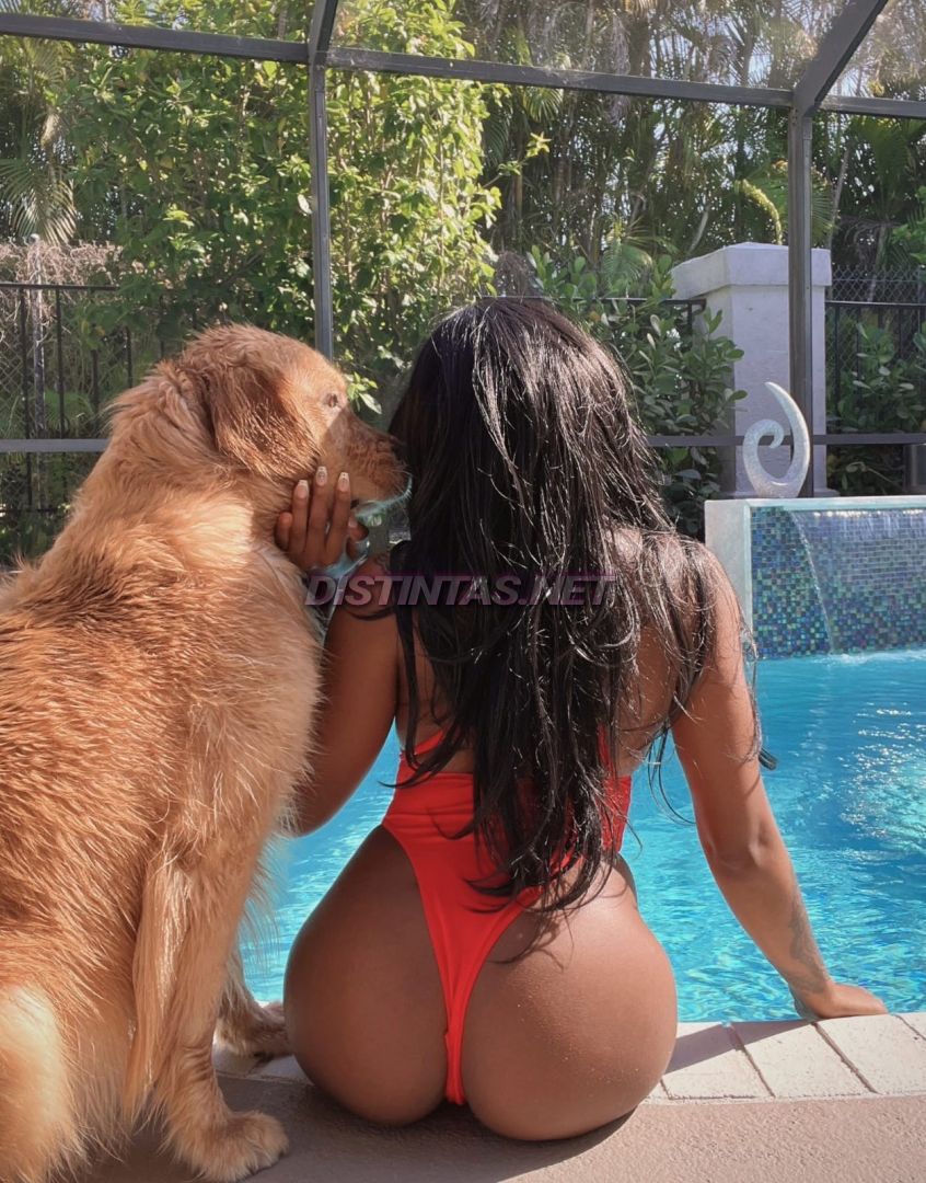 Canela Vip