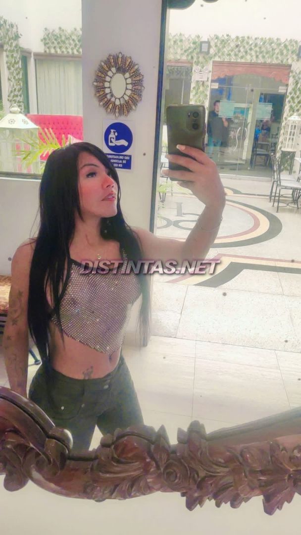 Canela Vip