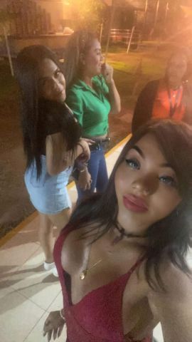 Canela Vip