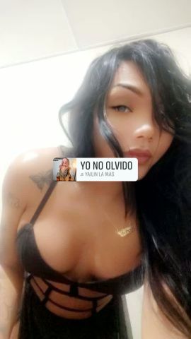 Canela Vip