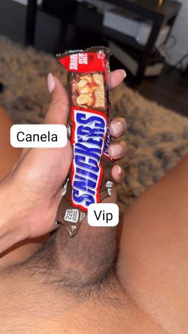 Canela Vip