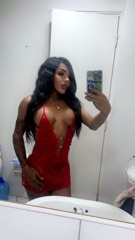 Canela Vip