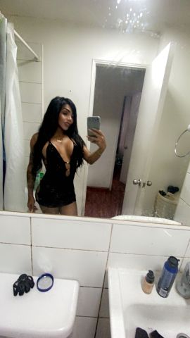 Canela Vip